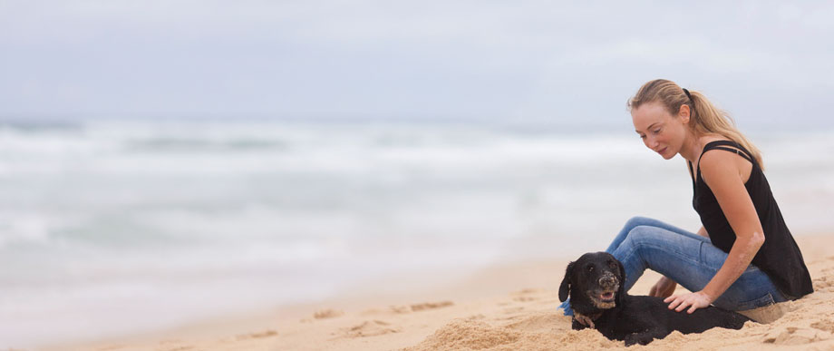 Un chien équilibré n'est pas un chien obèse