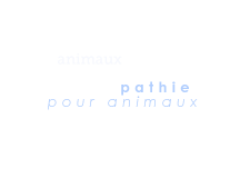 osteoanimaux.com